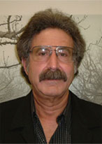 Professor Edward I. Solomon