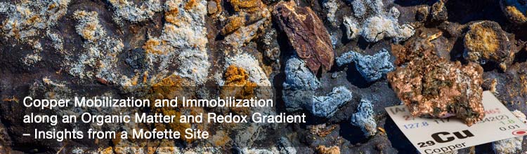 Copper Mobilization and Immobilization along an Organic Matter and Redox Gradient – Insights from a Mofette Site