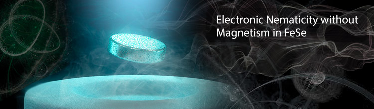 Electronic Nematicity without Magnetism in FeSe