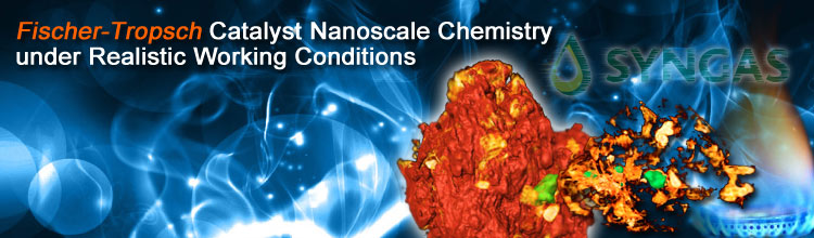 Fischer-Tropsch Catalyst Nanoscale Chemistry under Realistic Working Conditions