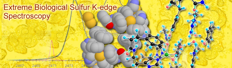 Extreme Biological Sulfur K-edge Spectroscopy