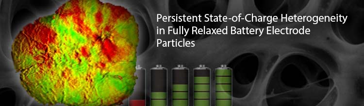 Persistent State-of-Charge Heterogeneity in Fully Relaxed Battery Electrode Particles