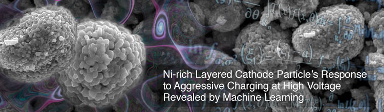 Ni-rich Layered Cathode