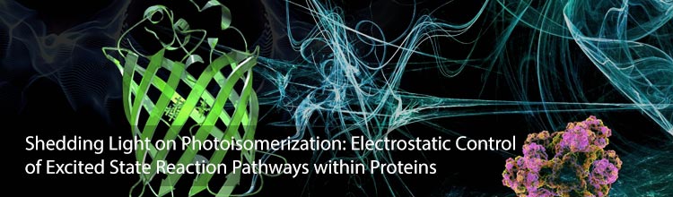 Shedding Light on Photoisomerization: Electrostatic Control of Excited State Reaction Pathways within Proteins