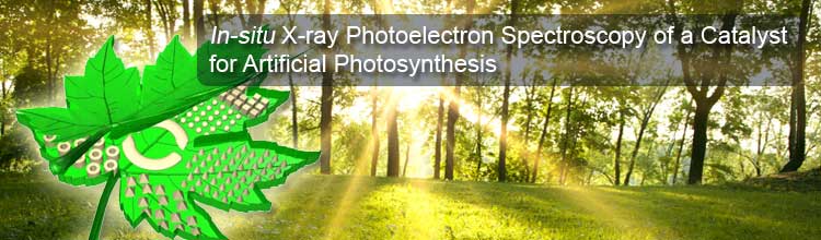 In-situ X-ray Photoelectron Spectroscopy of a Catalyst for Artificial Photosynthesis 