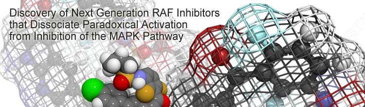 Discovery of Next Generation RAF Inhibitors that Dissociate Paradoxical Activation from Inhibition of the MAPK Pathway