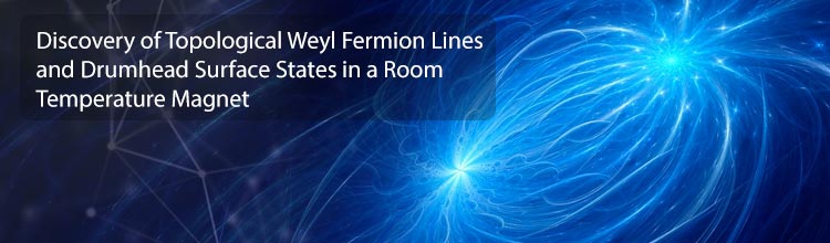Discovery of Topological Weyl Fermion Lines and Drumhead Surface States in a Room Temperature Magnet