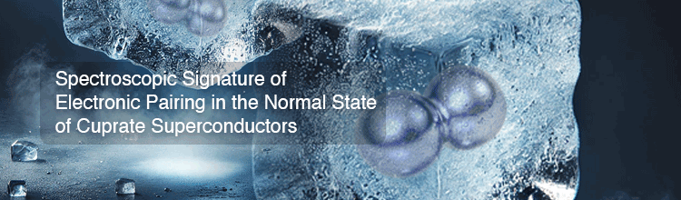 Normal State of Cuprate Superconductors