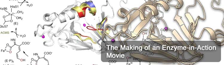 The Making of an Enzyme-in-Action Movie