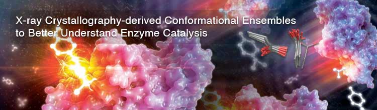 X-ray Crystallography-derived Conformational Ensembles to Better Understand Enzyme Catalysis 