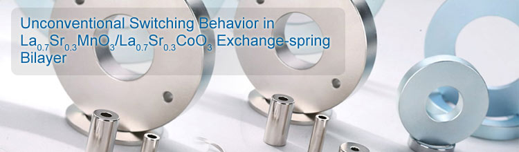 Unconventional Switching Behavior in Exchange-spring Bilayer