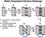 Figure 1. Metal Templated Interface Redesign (MeTIR). MeTIR is based on the initial complexation of non-self-interacting proteins by metal coordination, followed by the re-engineering of the metal-templated interfaces for stability and selectivity. Figure 1.