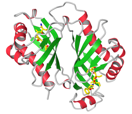 A ribbon diagram of the protein Lsd19.