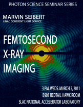 Femtosecond X-ray Imaging