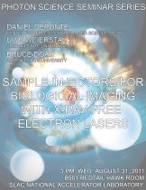 Sample Injectors for Biological Imaging with X-ray Free Electron Lasers