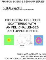Biological Solution Scattering with an FEL: challenges and opportunities