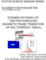 Dynamic pathway of the photoinduced magnetic phase transition of multiferroic TbMnO3