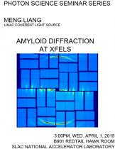 Amyloid diffraction at XFELs Amyloid diffraction at XFELs