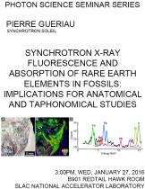 Synchrotron X-ray fluorescence and absorption of rare earth elements in fossils: implications for anatomical and taphonomical studies Synchrotron X-ray fluorescence and absorption of rare earth elements in fossils: implications for anatomical and taphonomical studies