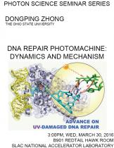 DNA repair photomachine: Dynamics and mechanism