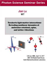 Terahertz light-matter interactions: Revealing nonlinear dynamics of molecular rotations, spins, and lattice vibrations