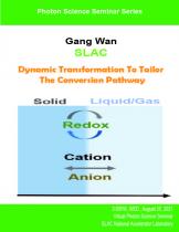 Dynamic Transformation To Tailor The Conversion Pathway