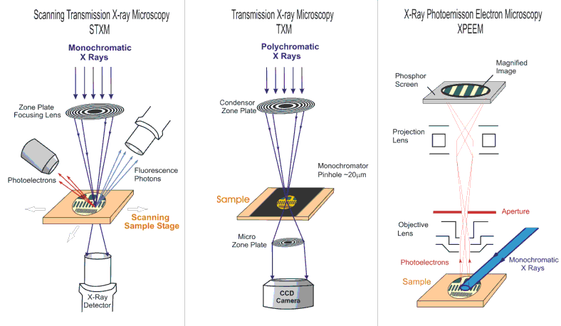 transmission light microscopy