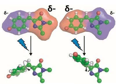 Modification of the chromophore’s electron density