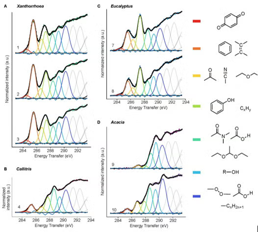 Resins
