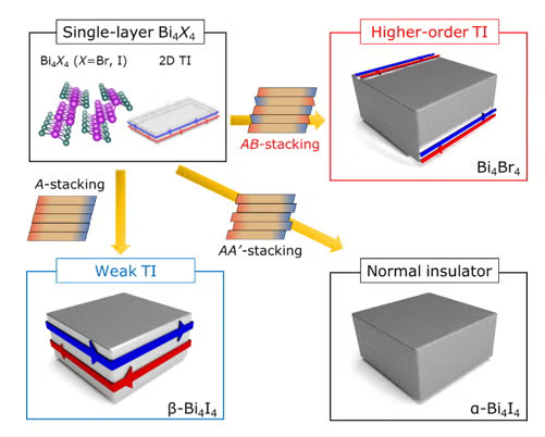 Construction of various topological phases based on quasi-1D bismuth halide chains.