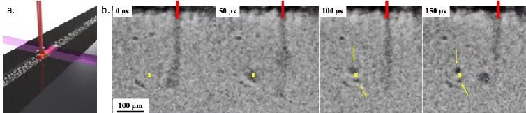 3D rendering of the experimental setup
