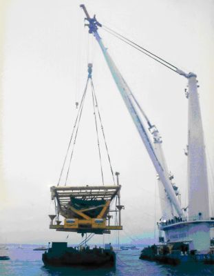 The Mary Rose was raised from the British Channel in 1982