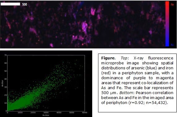 Synchrotron x-ray fluorescence microprobe (µ-XRF) and micro-XANES imaging experiments conducted at SSRL Beam Line