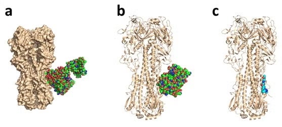 Complex of Influenza virus