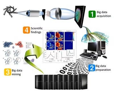 The novel nanoscale spectro-microscopy method is very powerful for studying the hierarchically complex and heterogeneously structured materials.