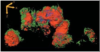 Reconstructed three-dimensional XANES tomography data of a Li-ion battery electrode.