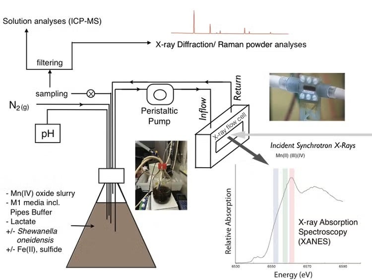 Schematic of flow-through system developed at SSRL