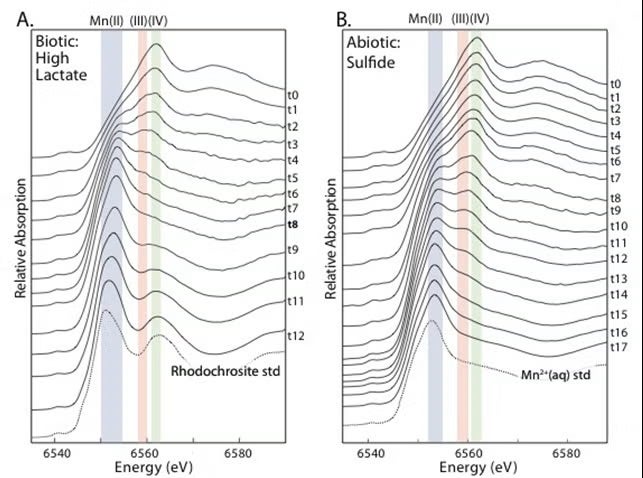 Examples of real-time x-ray spectroscopic measurements