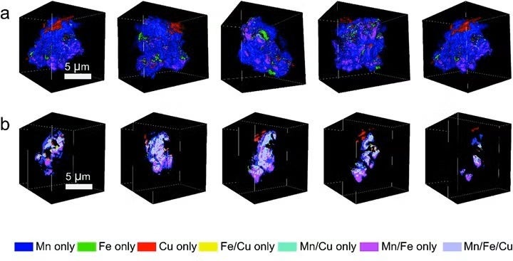 Empowering Multicomponent Cathode Materials for Sodium Ion Batteries by Exploring Three-dimensional Compositional Heterogeneities