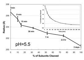 Figure 2 LCC at pH=5.5