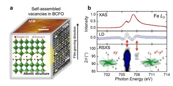  Conceptual picture describing the self-assembled oxygen vacancy structure