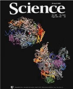 Structure of RNA Polymerase II