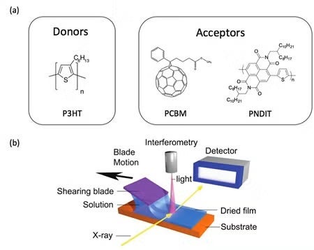 Chemical structures of materials used in this study 