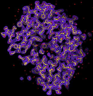 3D Structures of Biomolecules