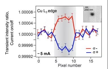 Detection of the induced magnetic moment for Cu atoms in the nanopillar