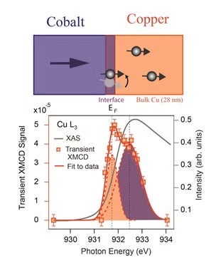 Interfacial (purple) and bulk (orange) component of the Cu transient magnetic 