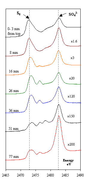 Figure 2a