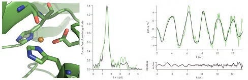 Left: Distorted tetrahedral active site of Copper(II) C112D/M121L azurin from 2.1 Å crystal structure. (PDBID: 3FPY) Right: Copper K-edge EXAFS of C112D/M121L azurin fit starting from crystallographically-determined bond distances.
