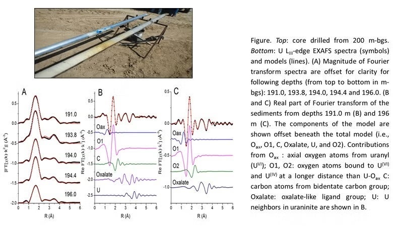 Uranium (U), the radioactive element that fuels nuclear power plants and occurs naturally in the Earth’s crust